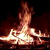 yüksek kalorili kömürler