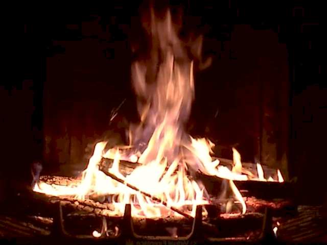 Kalorisi Yüksek Kömürler Nelerdir, Çeşitleri ve Faydaları